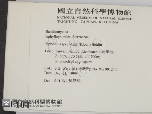 登錄號:F0010406藏品圖，第2張