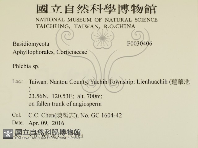 登錄號:F0030406藏品圖，第2張