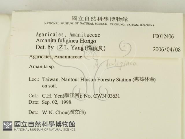 登錄號:F0012406藏品圖，第2張