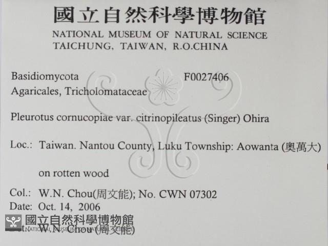 登錄號:F0027406藏品圖，第2張