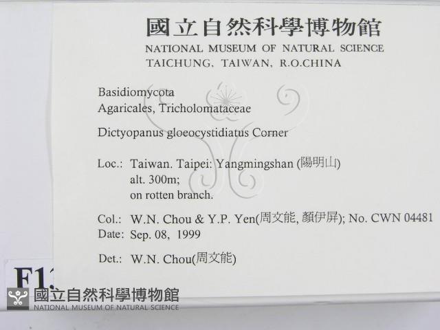 登錄號:F0013406藏品圖，第2張