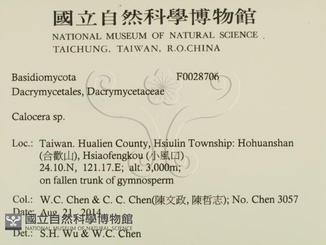 登錄號:F0028706藏品圖，第2張
