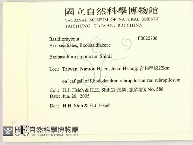 登錄號:F0020706藏品圖，第2張