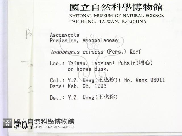 登錄號:F0000706藏品圖，第2張