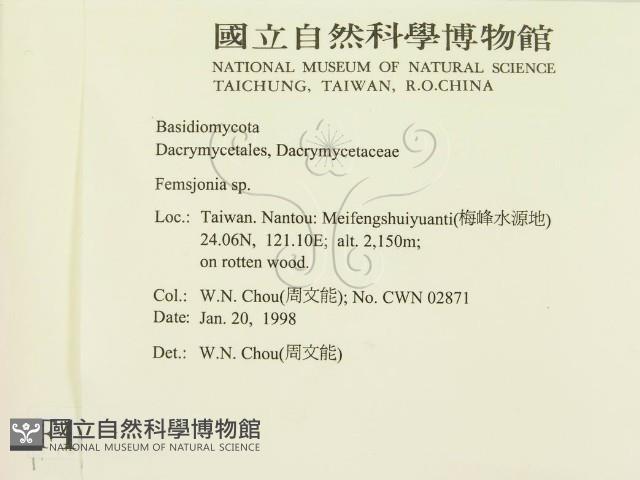 登錄號:F0010706藏品圖，第2張