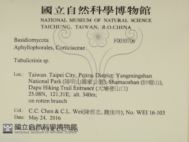 登錄號:F0030706藏品圖，第2張