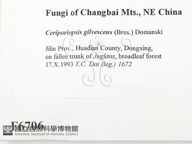 登錄號:F0006706藏品圖，第2張