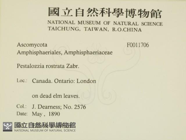 登錄號:F0011706藏品圖，第2張