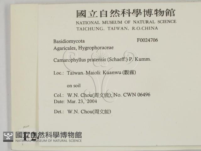 登錄號:F0024706藏品圖，第2張