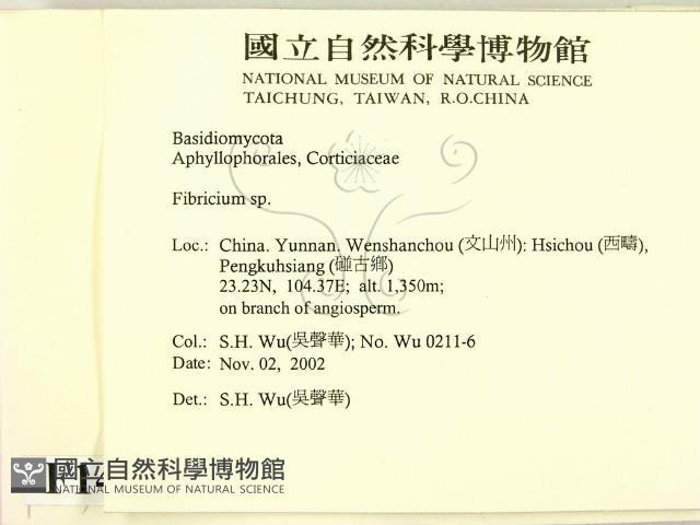 登錄號:F0014706藏品圖，第2張