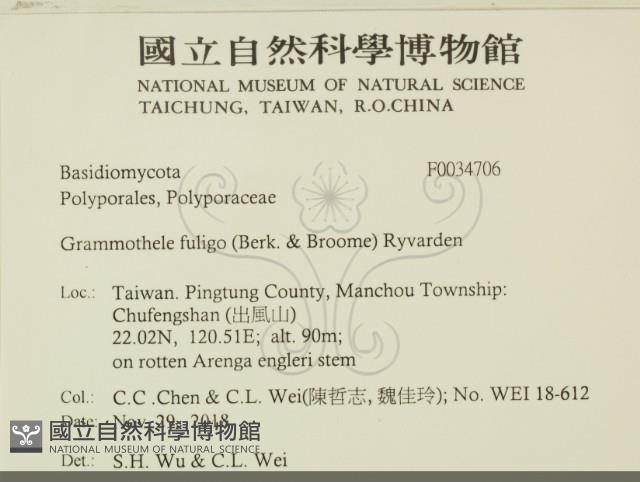 登錄號:F0034706藏品圖，第2張