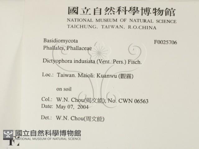 登錄號:F0025706藏品圖，第2張