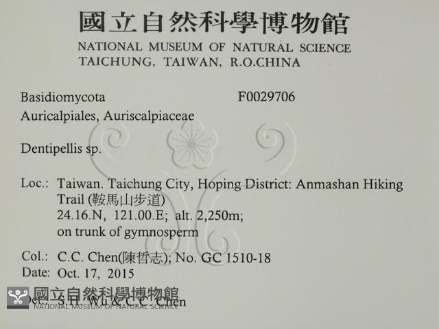 登錄號:F0029706藏品圖，第2張