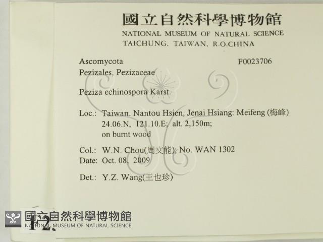 登錄號:F0023706藏品圖，第2張