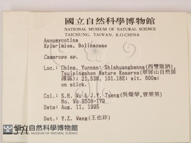 登錄號:F0003706藏品圖，第2張