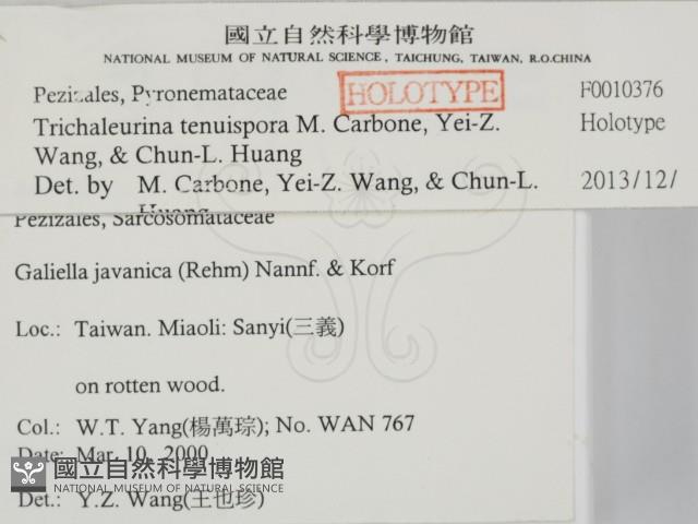 登錄號:F0013706藏品圖，第2張