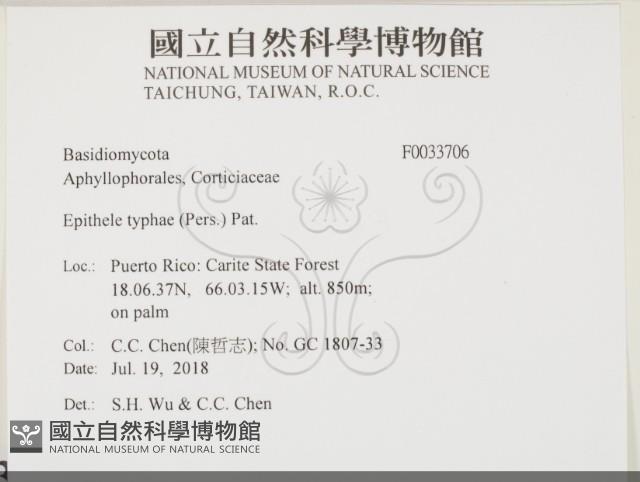 登錄號:F0033706藏品圖，第2張