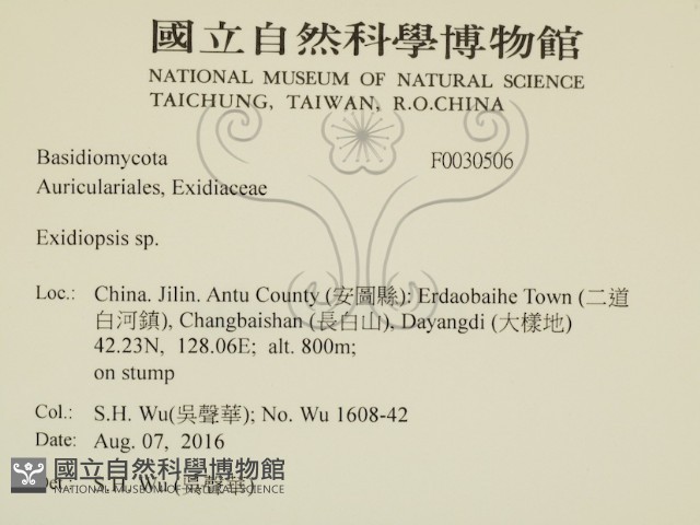 登錄號:F0030506藏品圖，第2張