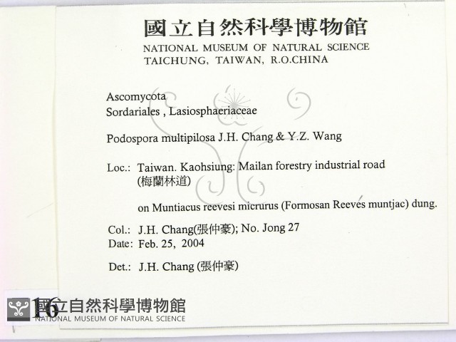 登錄號:F0016506藏品圖，第2張