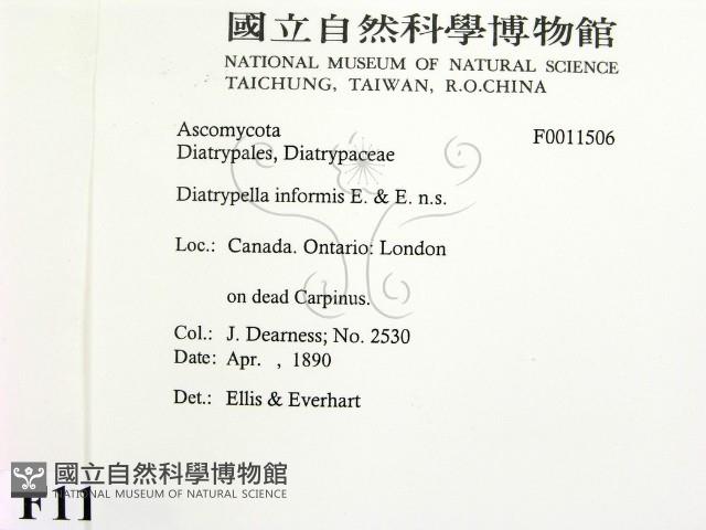 登錄號:F0011506藏品圖，第2張