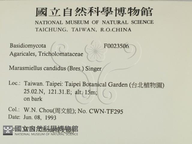 登錄號:F0023506藏品圖，第2張