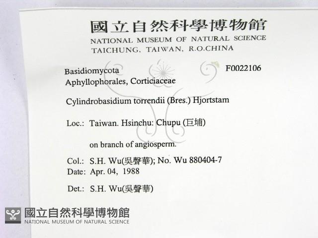 登錄號:F0022106藏品圖，第2張