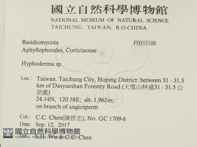 絲皮菌屬藏品圖，第2張