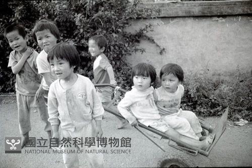1950至2006年臺灣常民生活藏品圖，第1張