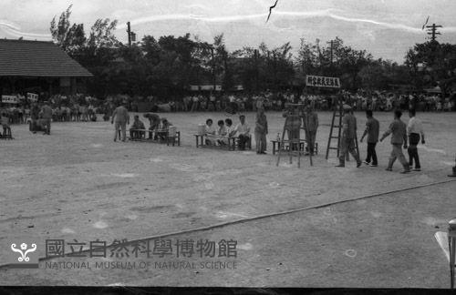 1950至2006年臺灣常民生活藏品圖，第1張