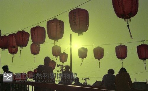 1950至2006年臺灣常民生活藏品圖，第1張