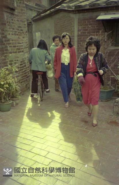 1950至2006年臺灣常民生活藏品圖，第1張