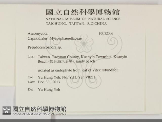 登錄號:F0032006藏品圖，第2張