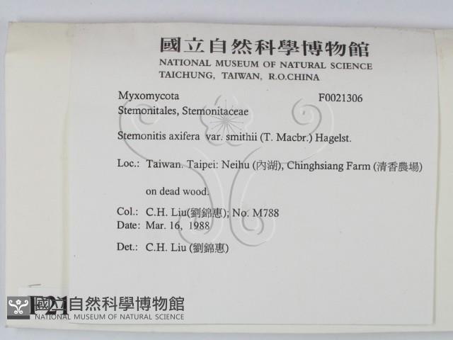 登錄號:F0021306藏品圖，第2張