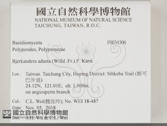 煙管菌藏品圖，第2張
