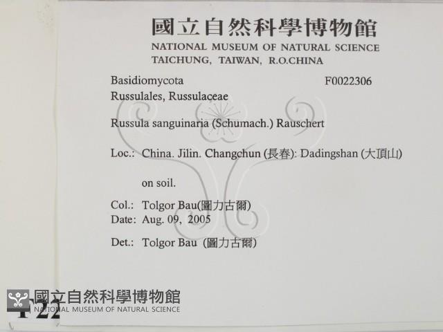 登錄號:F0022306藏品圖，第2張