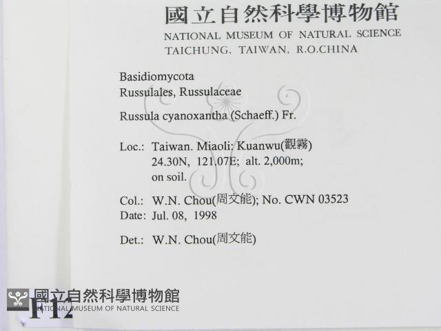 登錄號:F0012306藏品圖，第2張