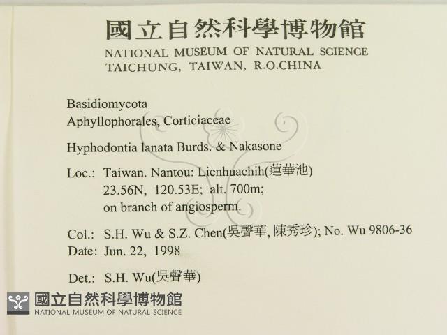 登錄號:F0010216藏品圖，第2張