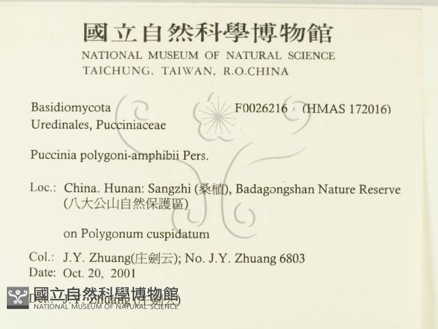 登錄號:F0026216藏品圖，第2張