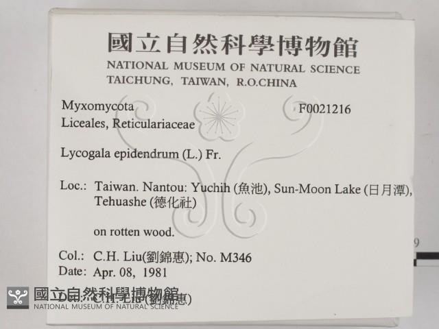 登錄號:F0021216藏品圖，第2張