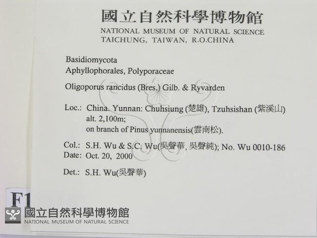 登錄號:F0012216藏品圖，第2張