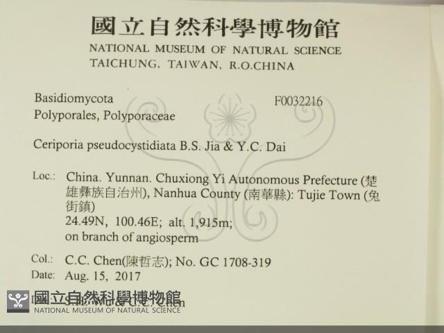 登錄號:F0032216藏品圖，第2張