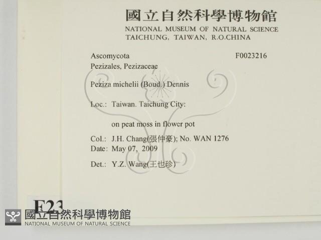 登錄號:F0023216藏品圖，第2張