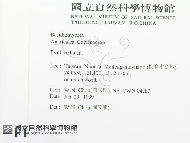 登錄號:F0013216藏品圖，第2張