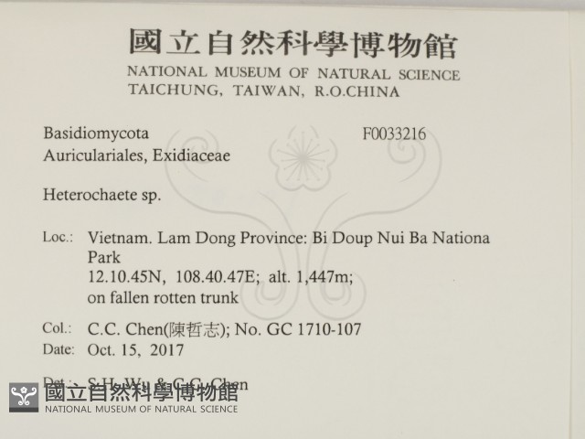 刺皮菌屬藏品圖，第2張