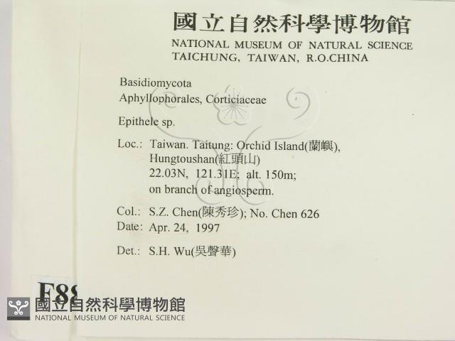 登錄號:F0008816藏品圖，第2張