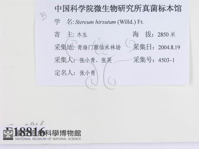 登錄號:F0018816藏品圖，第2張