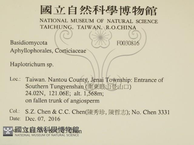 登錄號:F0030816藏品圖，第2張