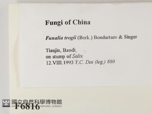 登錄號:F0006816藏品圖，第2張