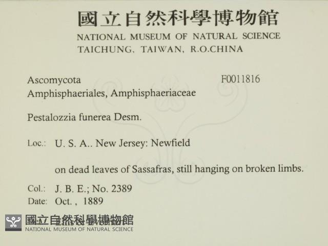 登錄號:F0011816藏品圖，第2張