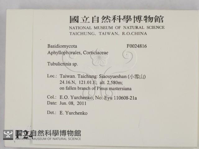 登錄號:F0024816藏品圖，第2張